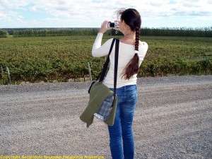 Vinuri naturale si bio