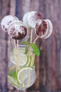 Le macaron Madame Lucie