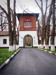 Domeniul si Restaurantul Stirbey - Buftea 17