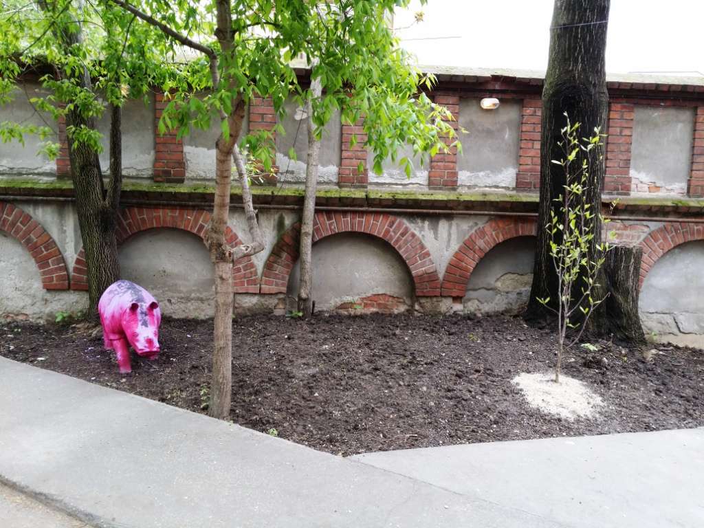 Bistrot frantuzesc Voila - Bucuresti Bistrot frantuzesc Voila - Bucuresti