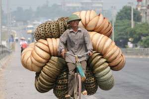 Vietnamezi Vietnamezi