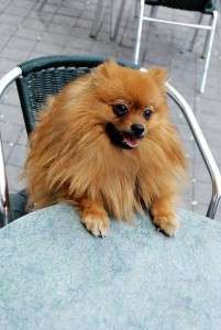 Waiting for the waiter