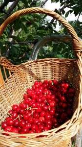 Mancarea din centrul Pamantului 