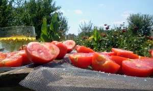 Mancarea din centrul Pamantului Mancarea din centrul Pamantului