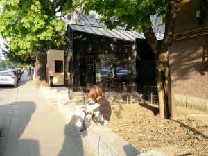 Lectie de austeritate pentru bucuresteni