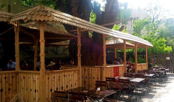 Gradina La Copac // sursa foto: Facebook