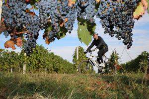 traseu bicicleta crame