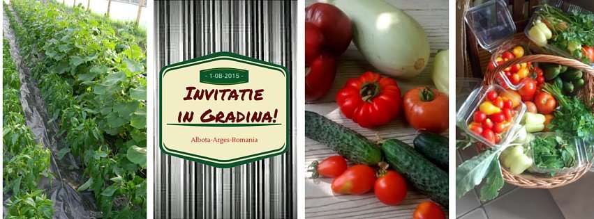 Legume de Tara // sursa foto: Facebook