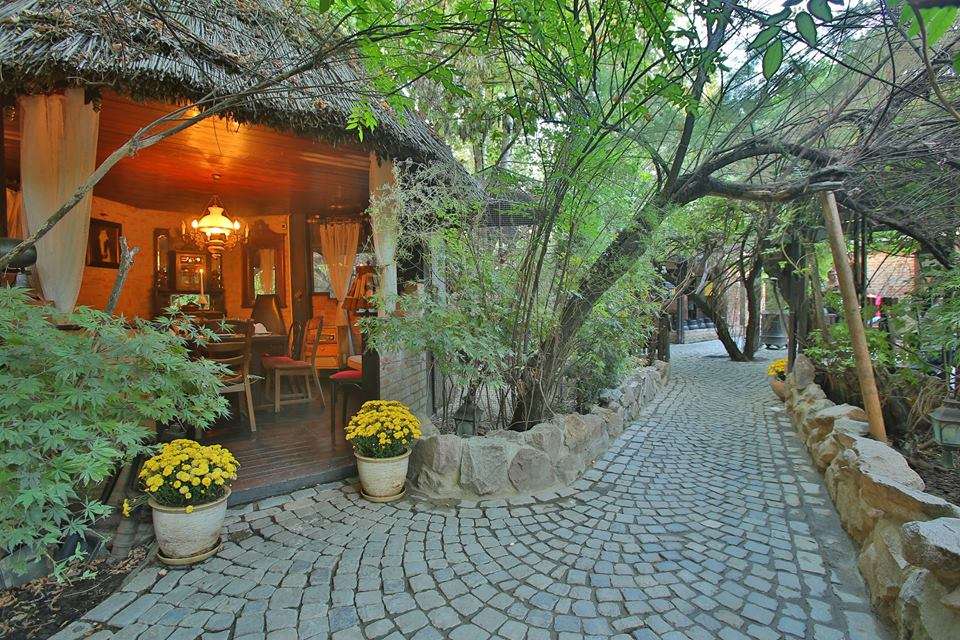 Pirhana // sursa foto: Facebook