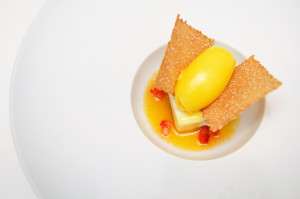 Desert cu dorbet de mandarine Andrea Canton