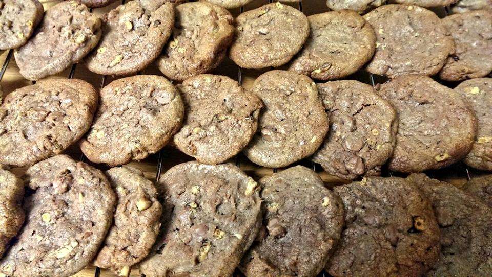 restaurant insecte 3