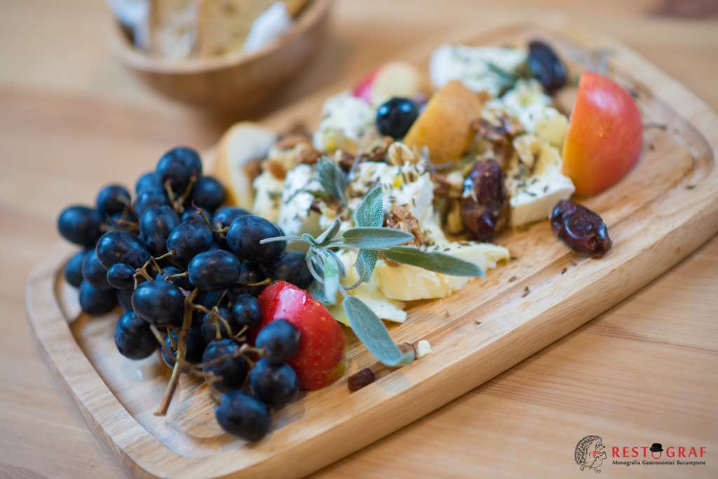 therapy_restograf_14