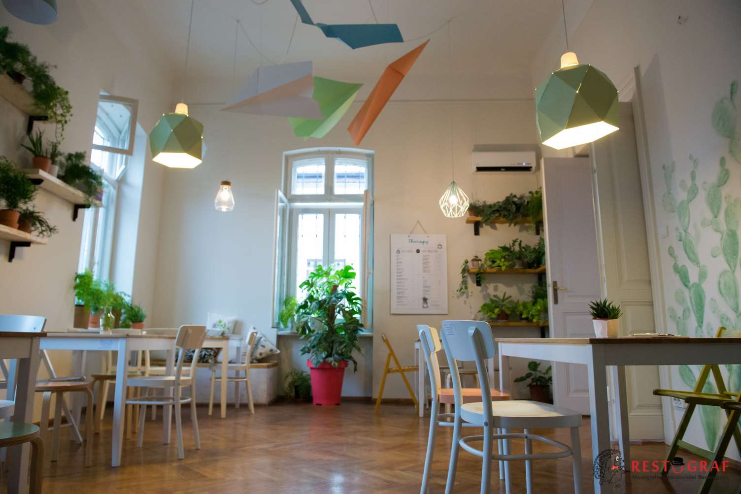 therapy_restograf_58