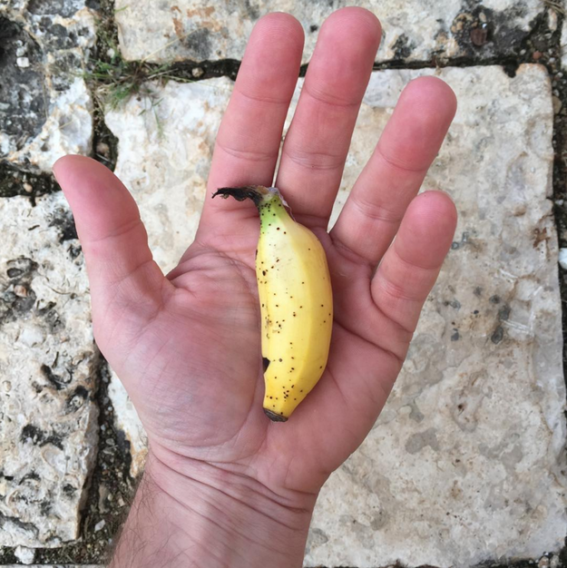 Banana // sursa foto: Instagram