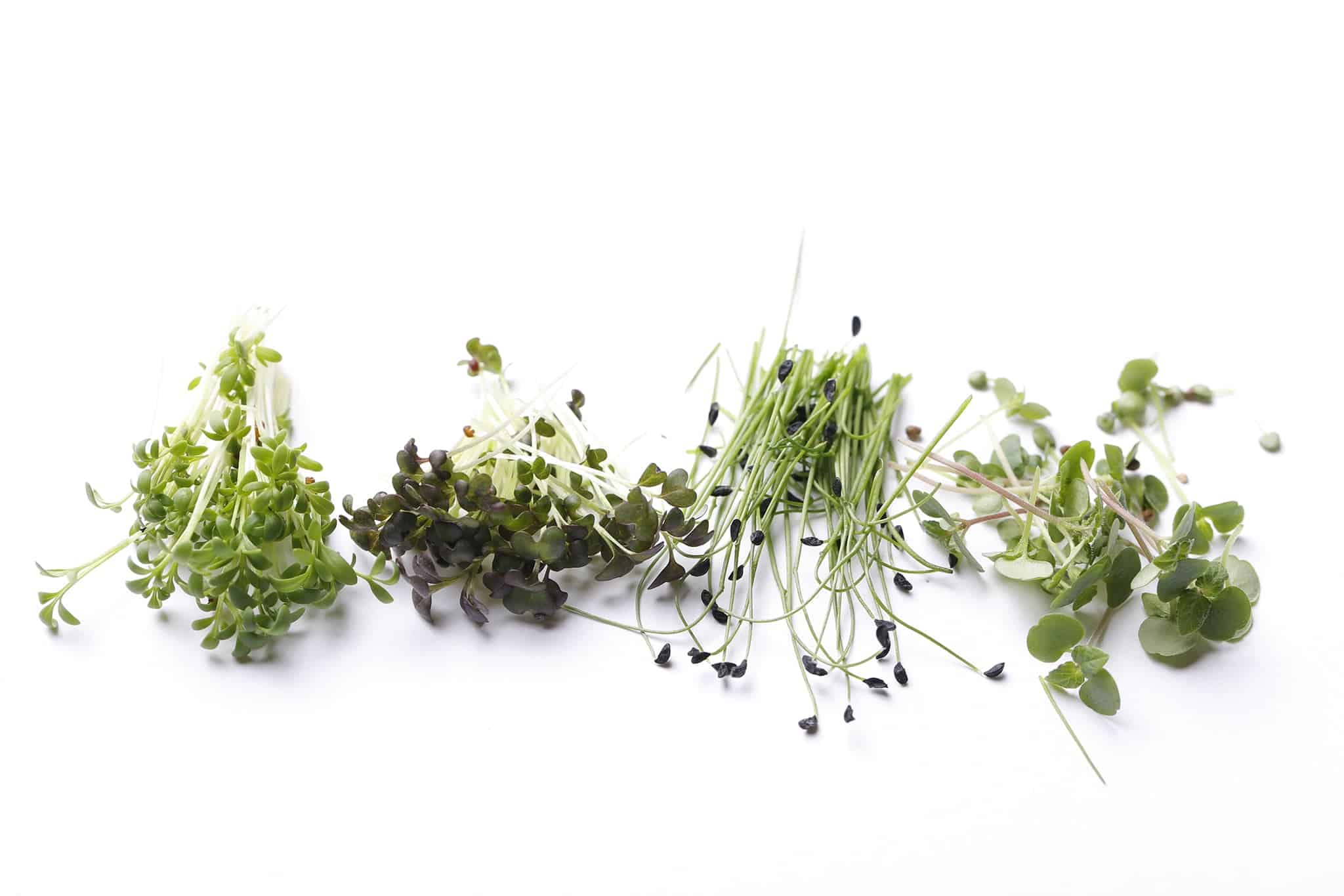 Interviu cu MicroGreens, "inventatorii" celor mai mici plante comestibile din Romania