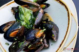 excellence restograf (19)