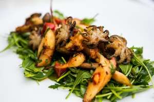 Baby caracatita & tentacule de calamar