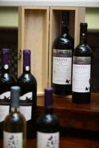 Vinuri noi la GoodWine 2013