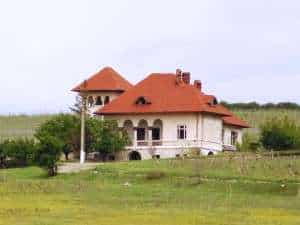 Vitis Metamorfosis a cumparat un conac in judetul Buzau