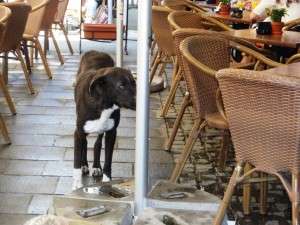 De ce le place romanilor sa mearga la restaurant