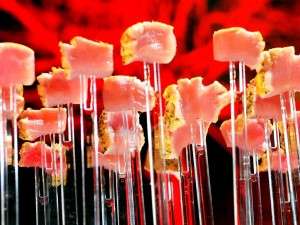 De unde incepe "Haute Cuisine"?