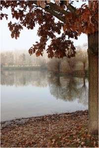 Exista mancare si in afara Bucurestiului? (I – Nordul)