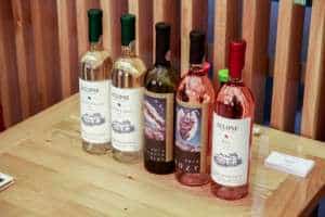 Crama Basilescu a lansat cinci vinuri noi