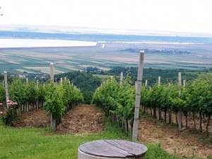 BUCOVINA culinara – patria manastirilor si a smantanii (prezentare)