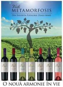 Vitis Metamorfosis devine Viile Metamorfosis dupa rebranding