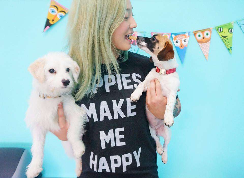 Cafeneaua cainilor de mangaiat si de adoptat