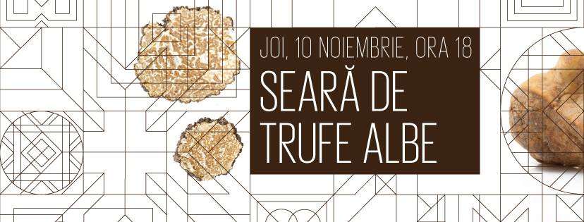 Seara de trufe albe la Norma