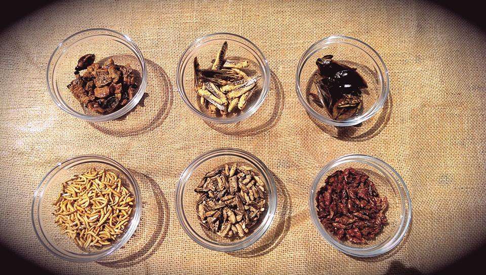 Un restaurant cu preparate pe baza de insecte