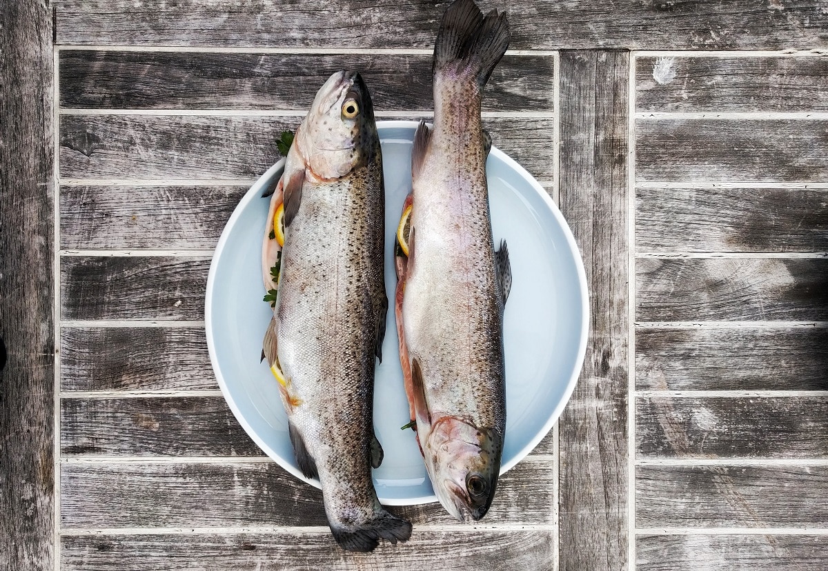 Are balta pește, dar care e mai bun? Cele mai sănătoase specii (și care sunt de evitat)