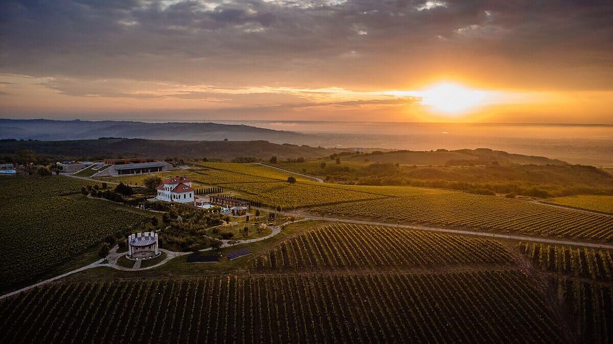 podgoria si cRAMA aVINCIS FOTOGRAFIATA de la distanta, la apus