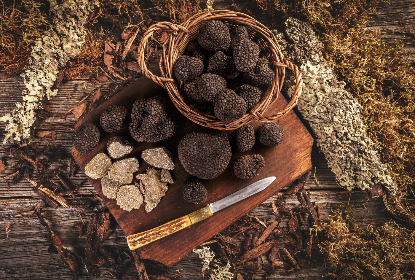 Trufele, diamante culinare. Ce sunt, ce gust au și… de ce sunt așa de scumpe?