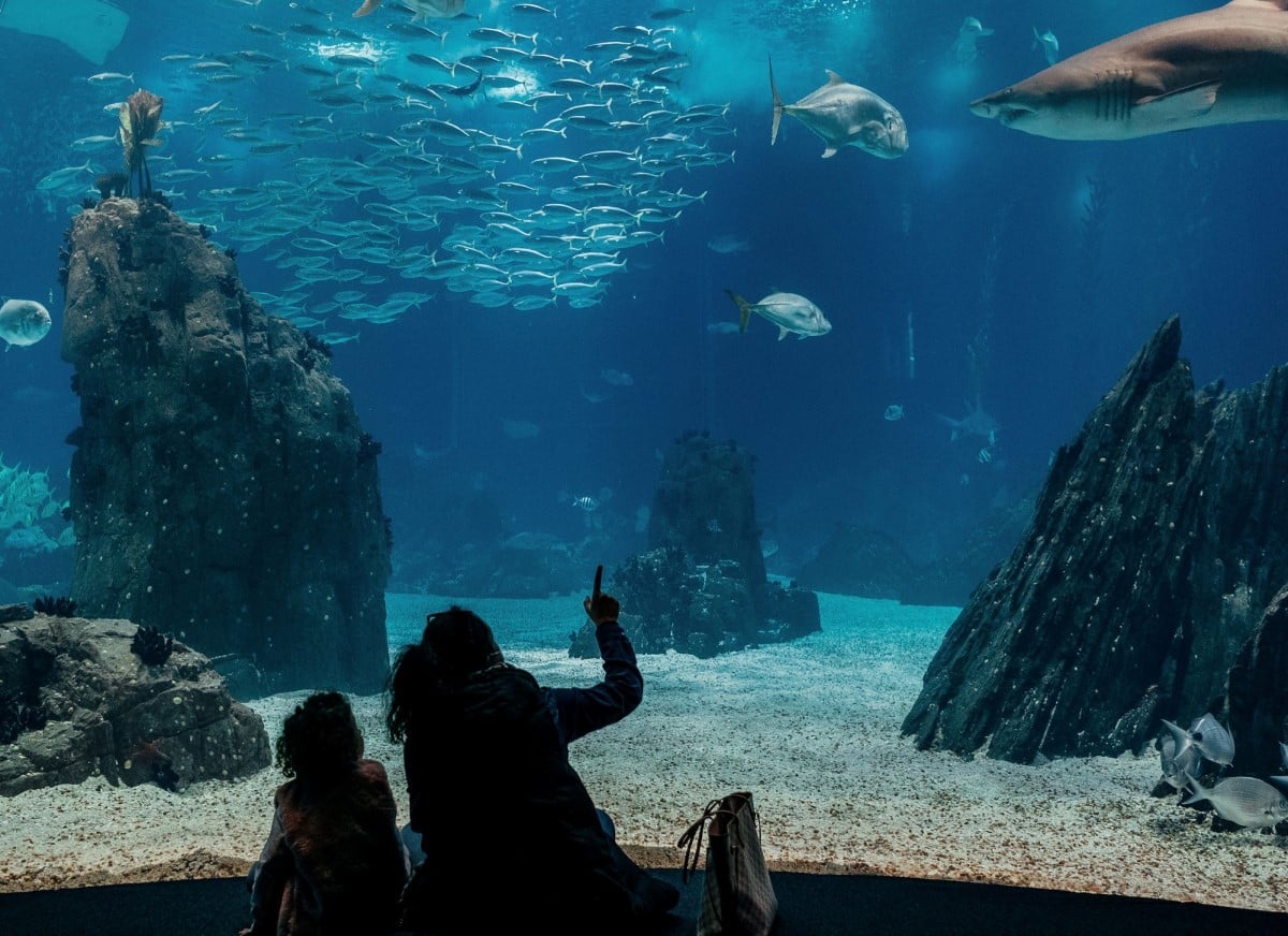 Vacanța din februarie: 3 destinații din Europa de vizitat cu copiii