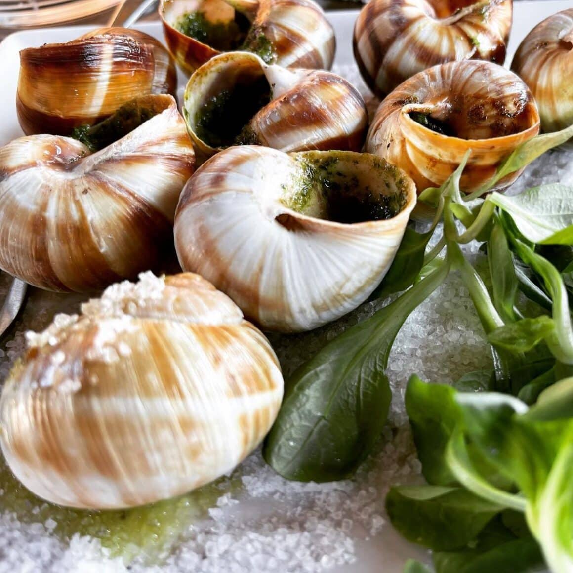 o portie de melci din meniul restaurantului laguna verde