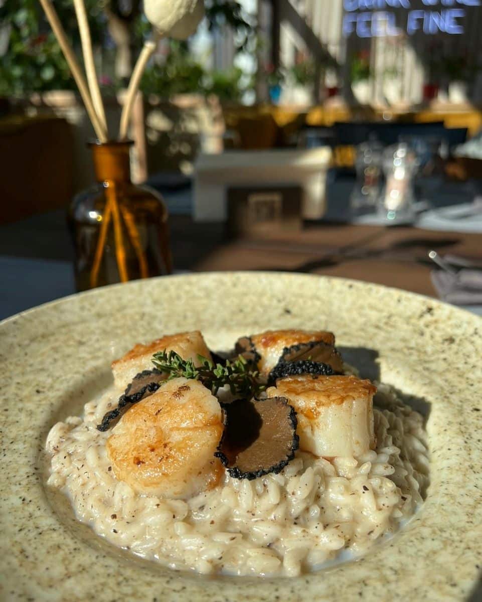 o portie de rissotto cu fructe de mare servite in restaurantul Rivo din oradea 