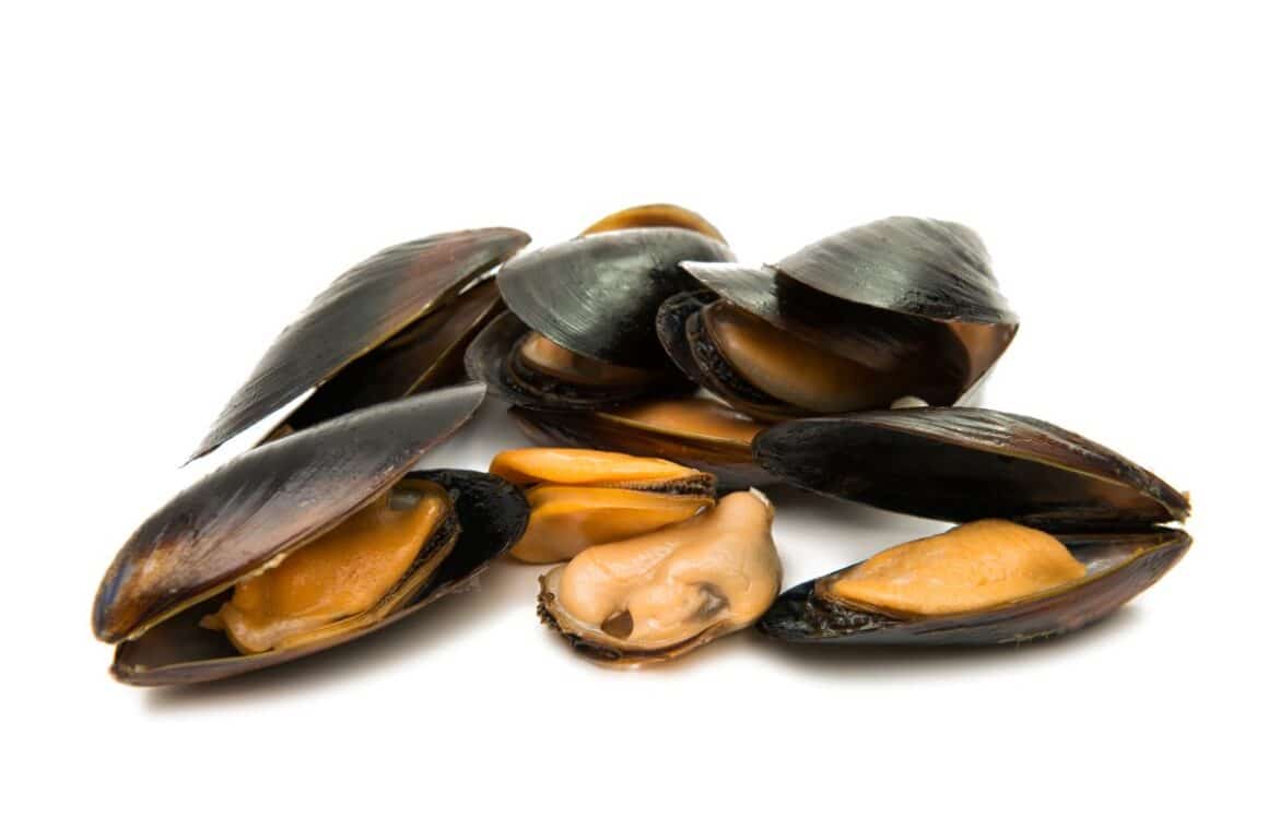 o portie de midii deschise pe un fundal alb