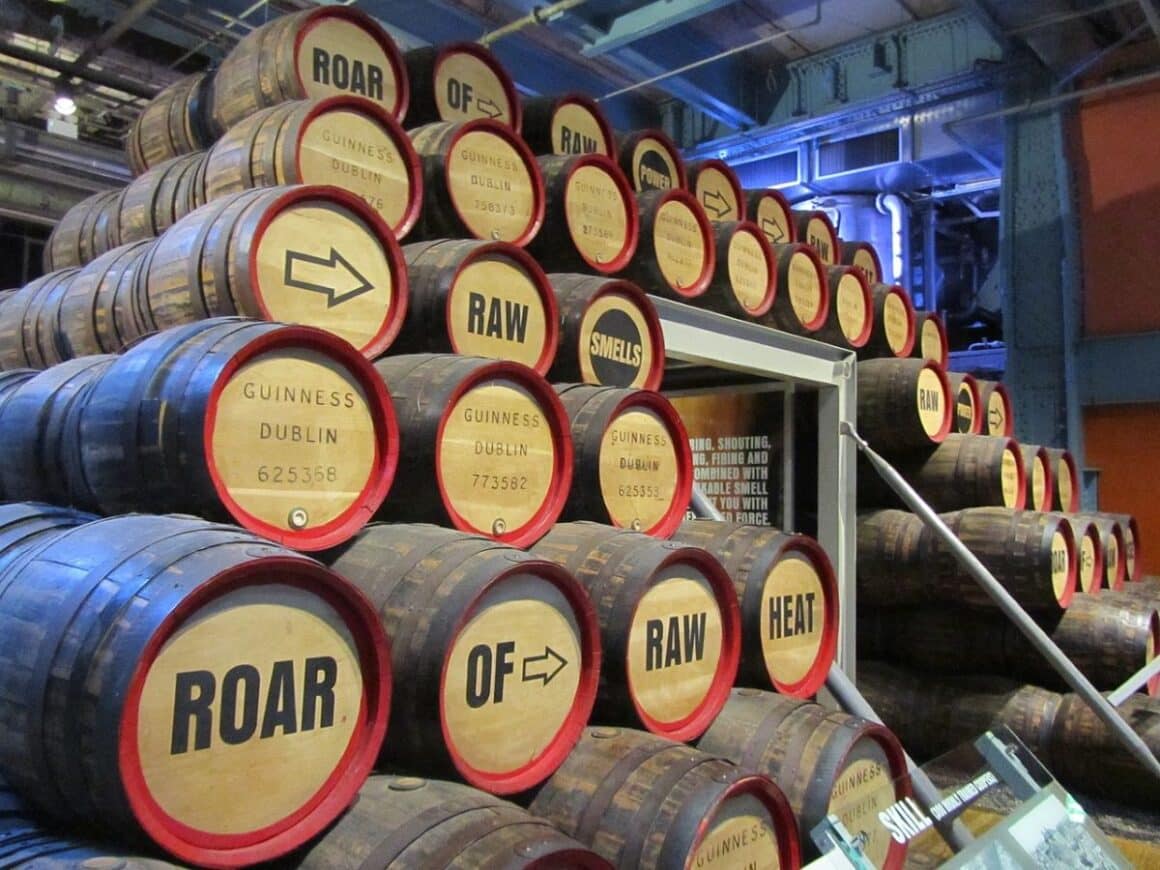 intrarea in muzeul guiness se face printr-o stiva de butoaie care erau folosite pentru maturarea berii - despre berea Guinness