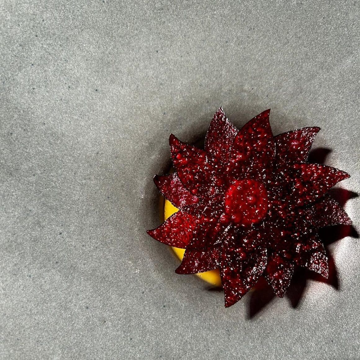 sfecla rosie cu mamaliga in prezentare fine dining la restaurant Grai - restaurante farm to table