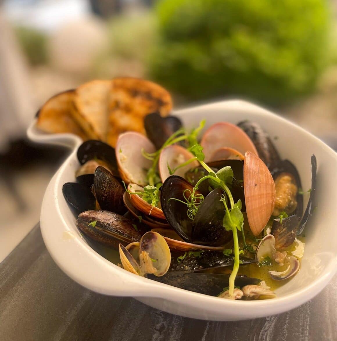 scoici servite in farfurie alba, cu paine prajita, la restaurant Allegria din Oradea