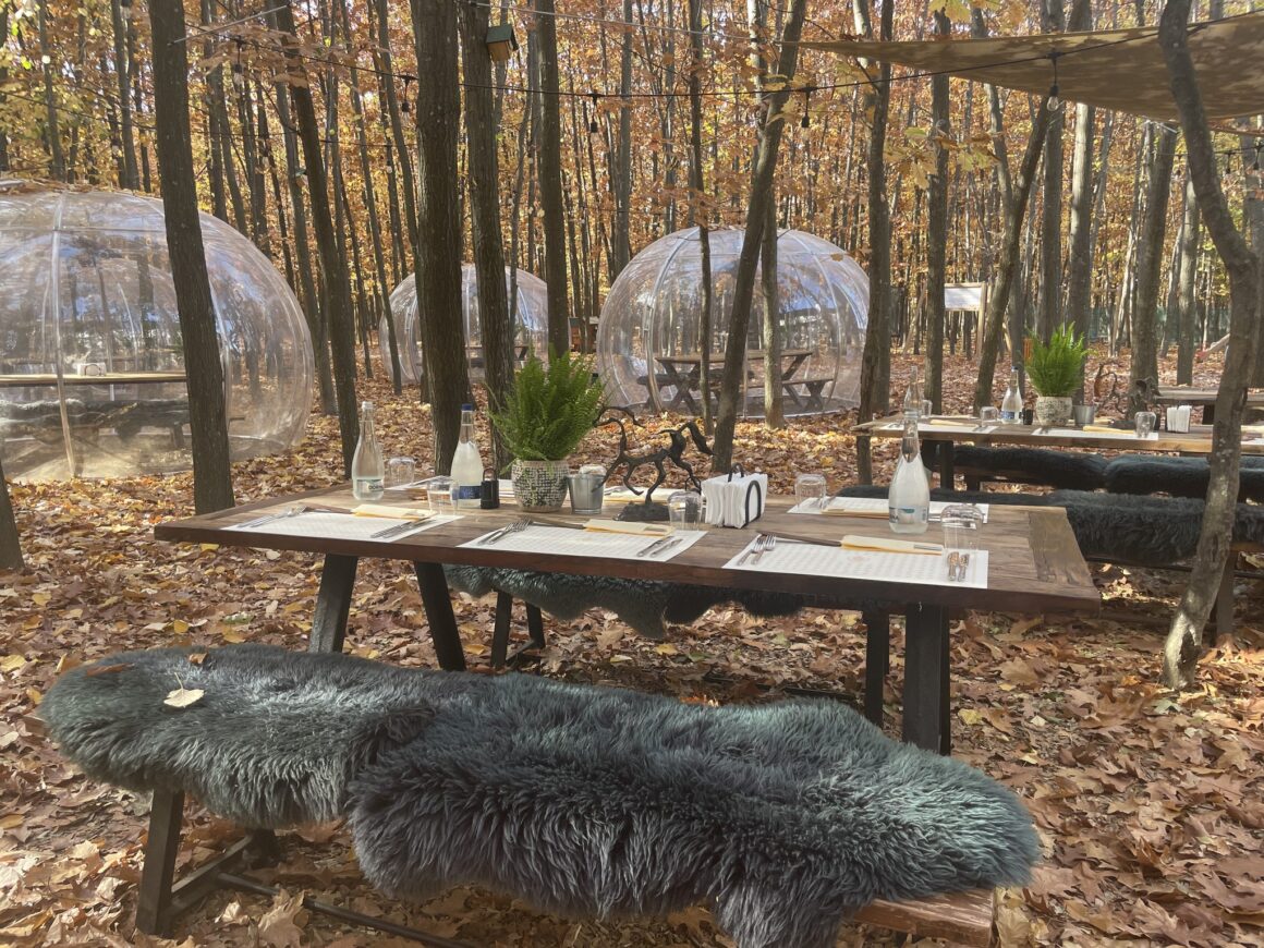 masa si bancuta de lemn asezata printre copaci in padure, iar in fundal igluuri din palstic - Singureni Manor - restaurante lângă București