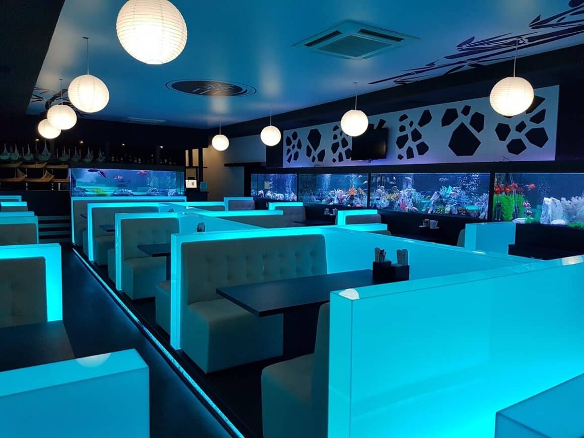 canapele in fata unui peret cu un acvariu pe toata lungimea, intr-o incapere cu lumina albastra
