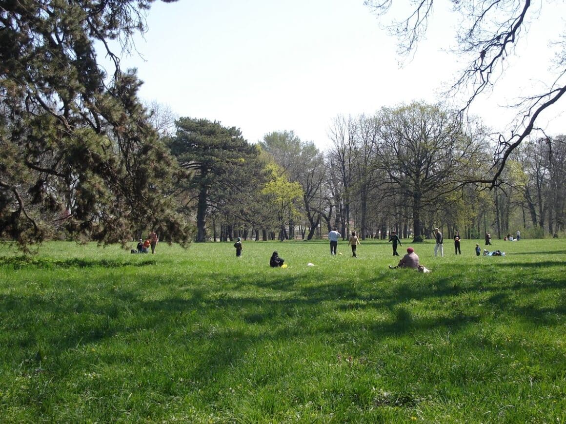 mai multe grupuri de oameni sunt la picknick printre copacii din parcul mogosoaia