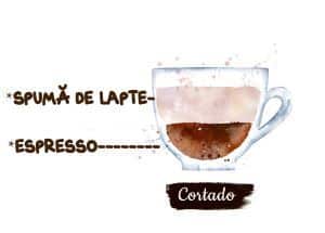 Tipuri de cafele: ilustratie din acuarela asupra reprezentarii unui cortado