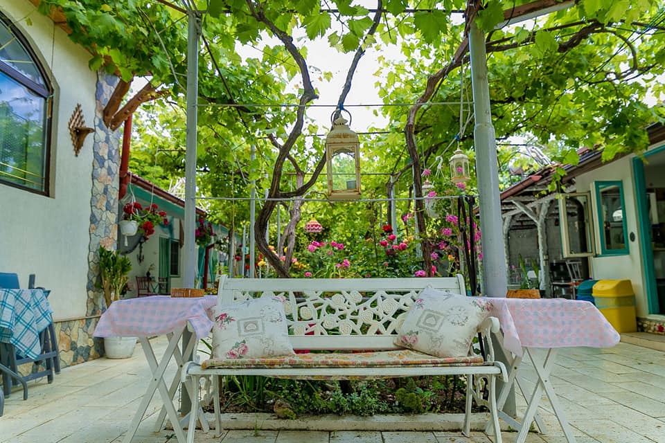 bancuta alba in curte la Hacienda Camping, iar in spatele ei curte acu trandafiri si vita de vie