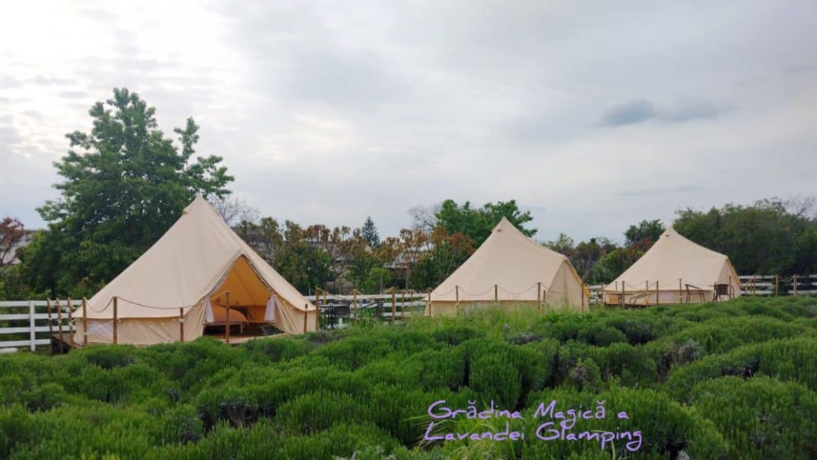 corturi de glamping asezate pe iarba la Glamping by the Sea în Mamaia Nord. Glamping în România