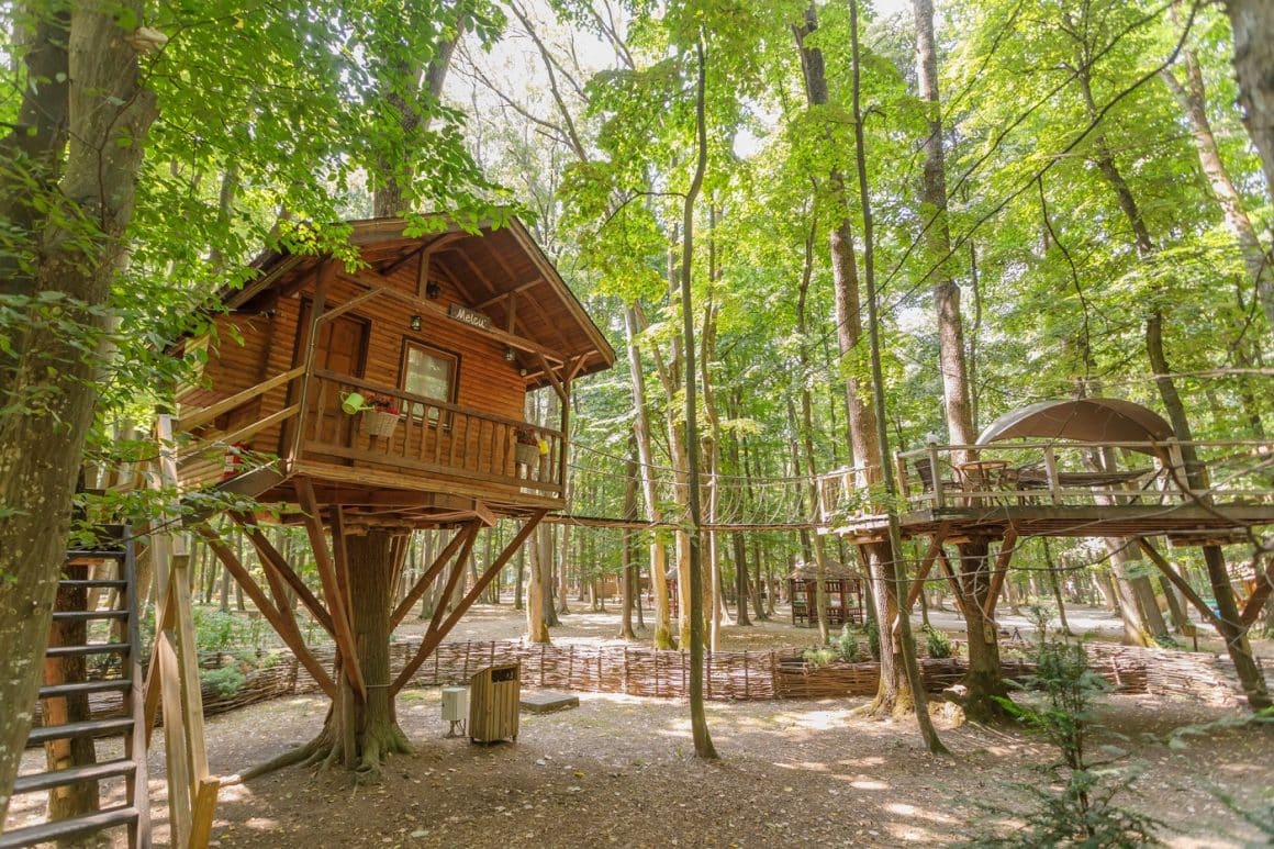 Căsuțe în copac la Edenland
