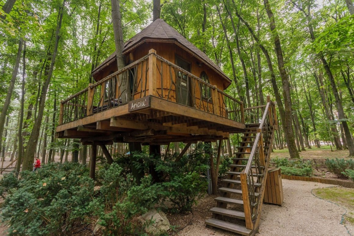 Casuțe în copac la Edenlad, printre copacii inverziti